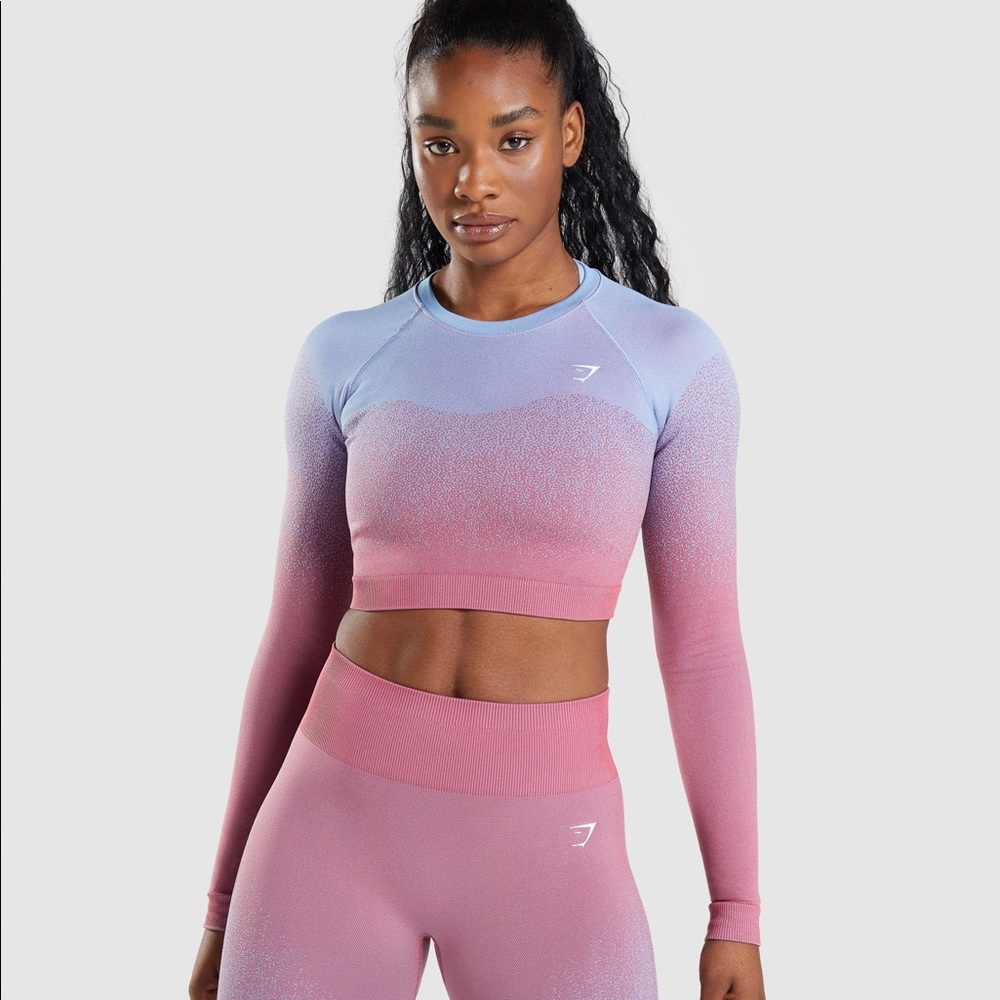 Adapt Ombre Seamless Long Sleeve Crop Top
